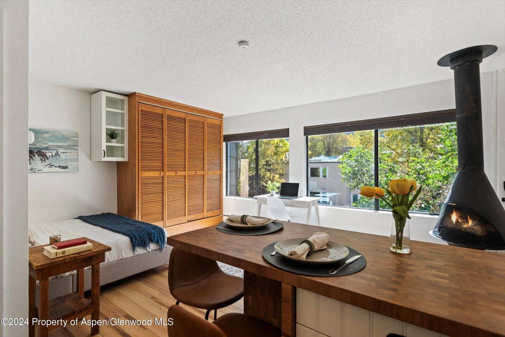 7 of 10 - 725 E Main Street #307, Aspen, CO