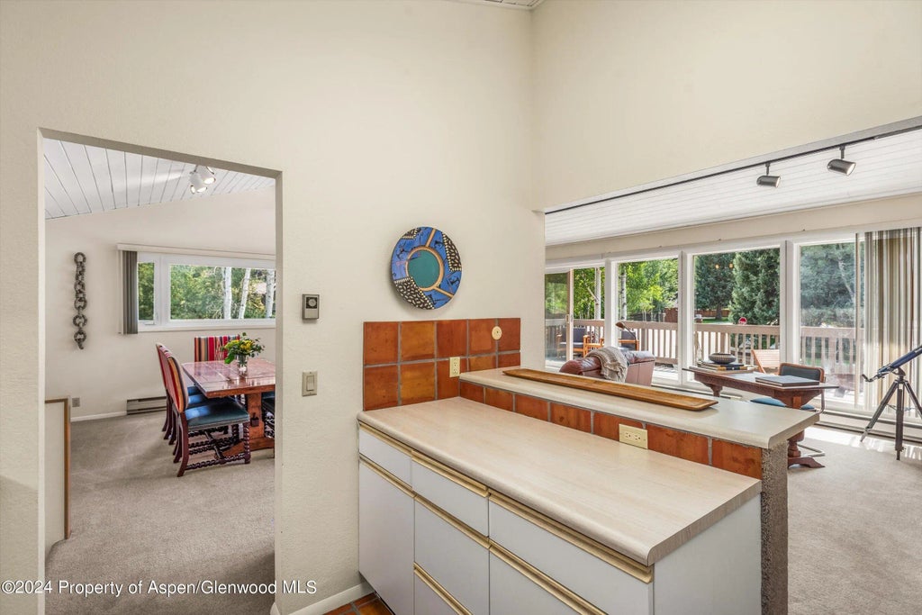 18 of 41 - 1275 Snowbunny Lane, Aspen, CO