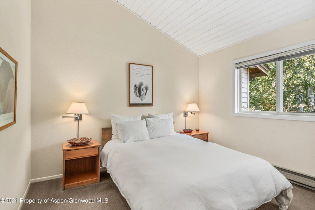 37 of 41 - 1275 Snowbunny Lane, Aspen, CO
