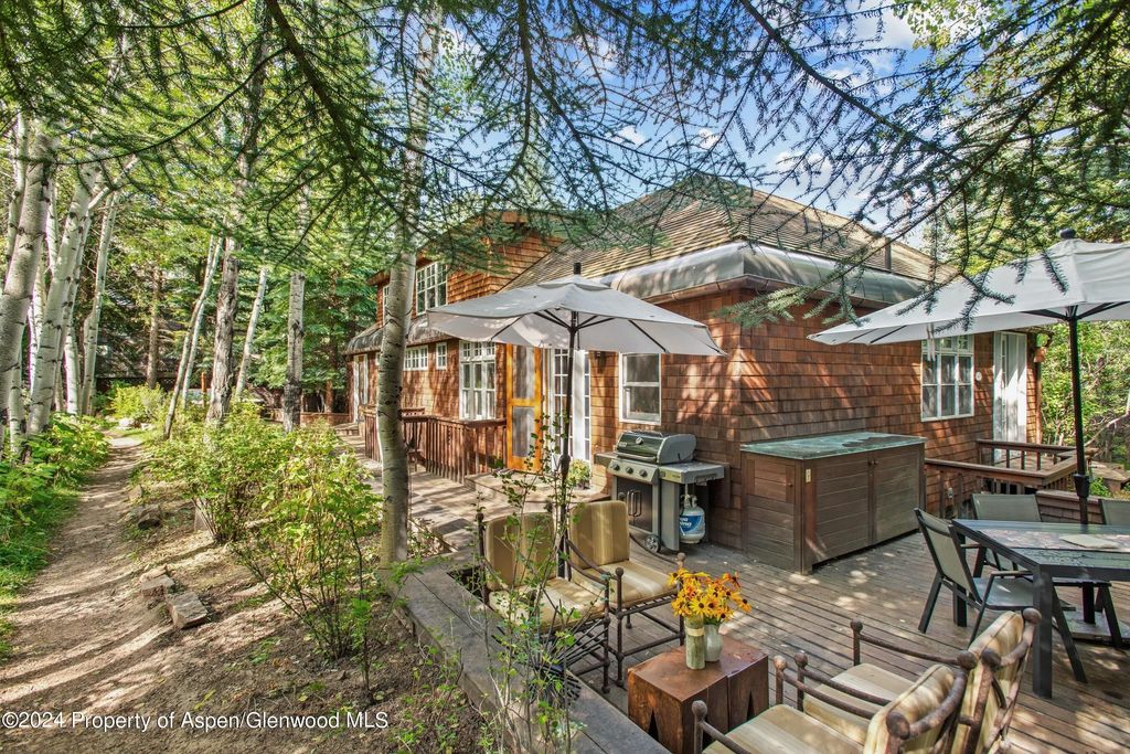 16 of 42 - 66 Alpine Court, Aspen, CO