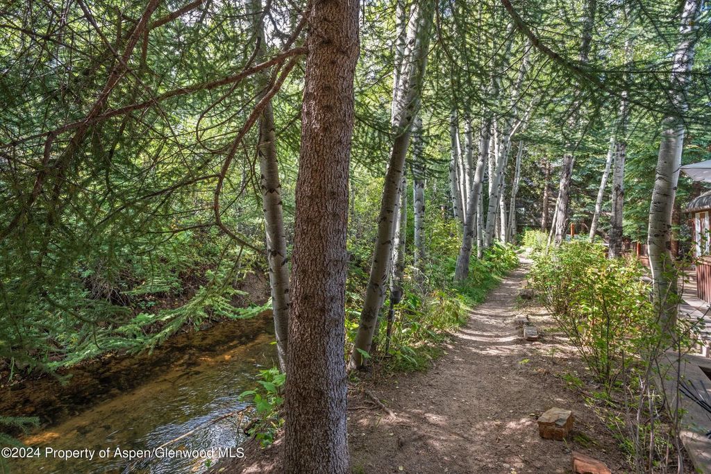 19 of 42 - 66 Alpine Court, Aspen, CO