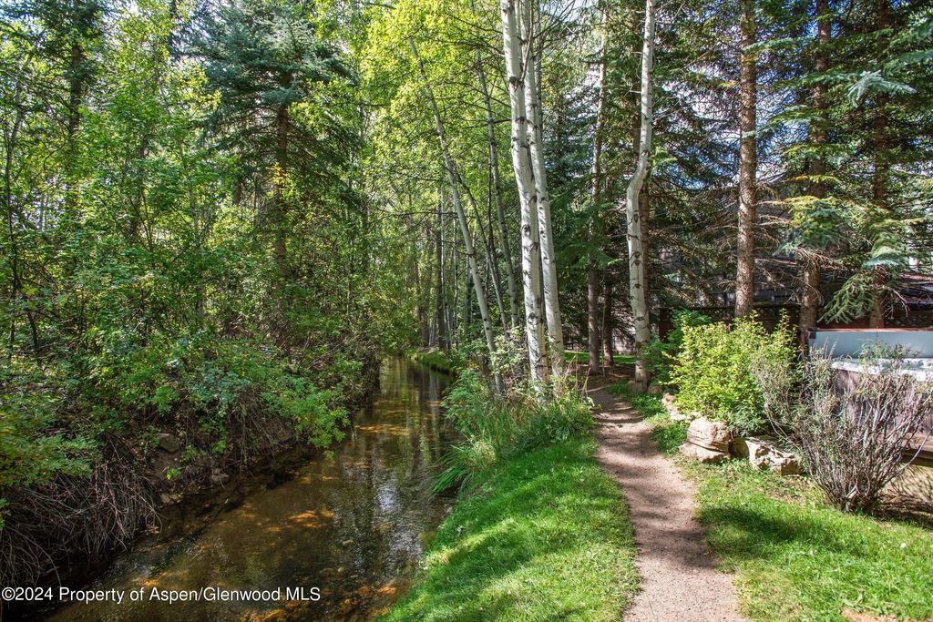 20 of 42 - 66 Alpine Court, Aspen, CO