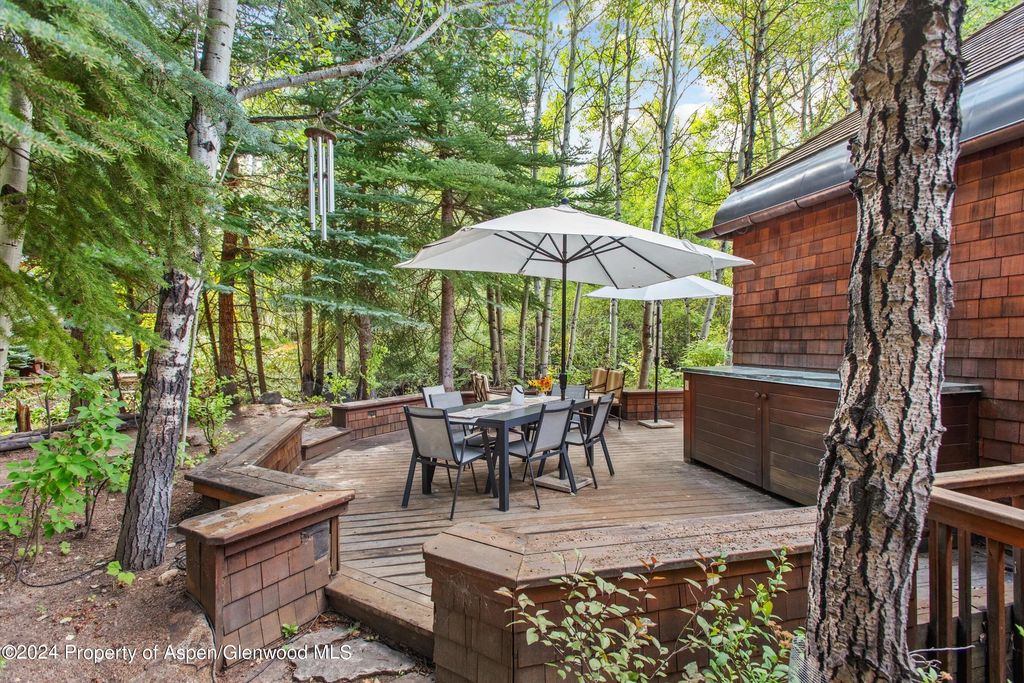 21 of 42 - 66 Alpine Court, Aspen, CO