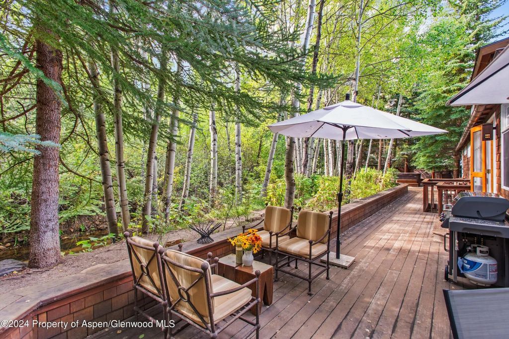22 of 42 - 66 Alpine Court, Aspen, CO