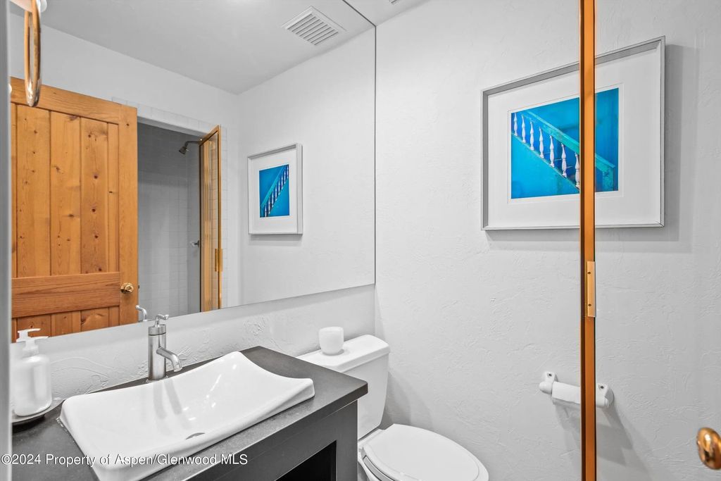 40 of 42 - 66 Alpine Court, Aspen, CO