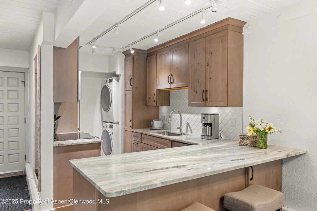 6 of 15 - 70 Gallun Lane 206b, Snowmass Village, CO
