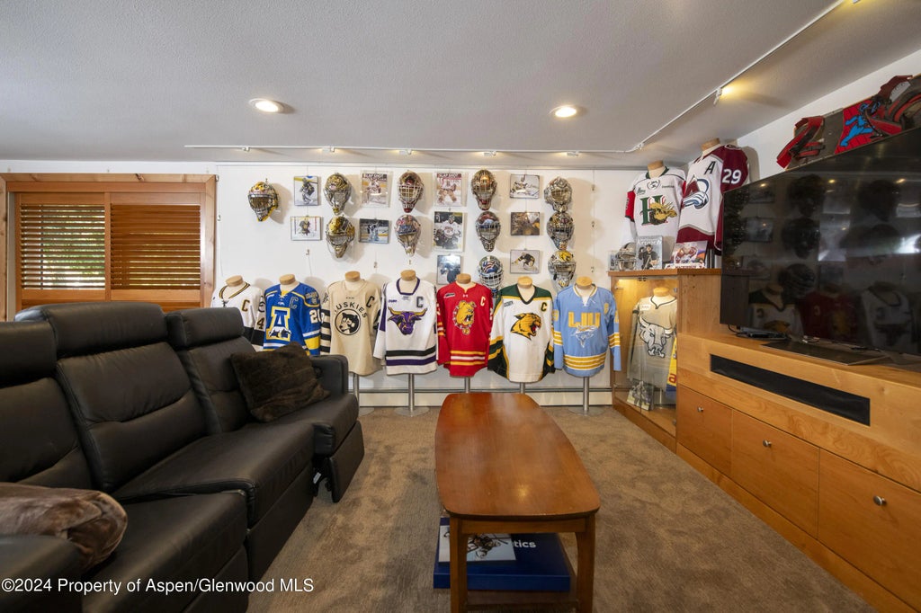 15 of 26 - 1325 Mountain View Drive, Aspen, CO