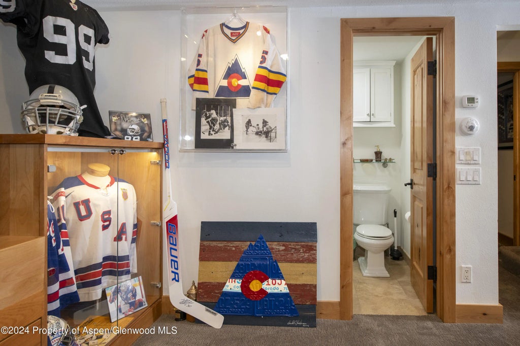 16 of 26 - 1325 Mountain View Drive, Aspen, CO