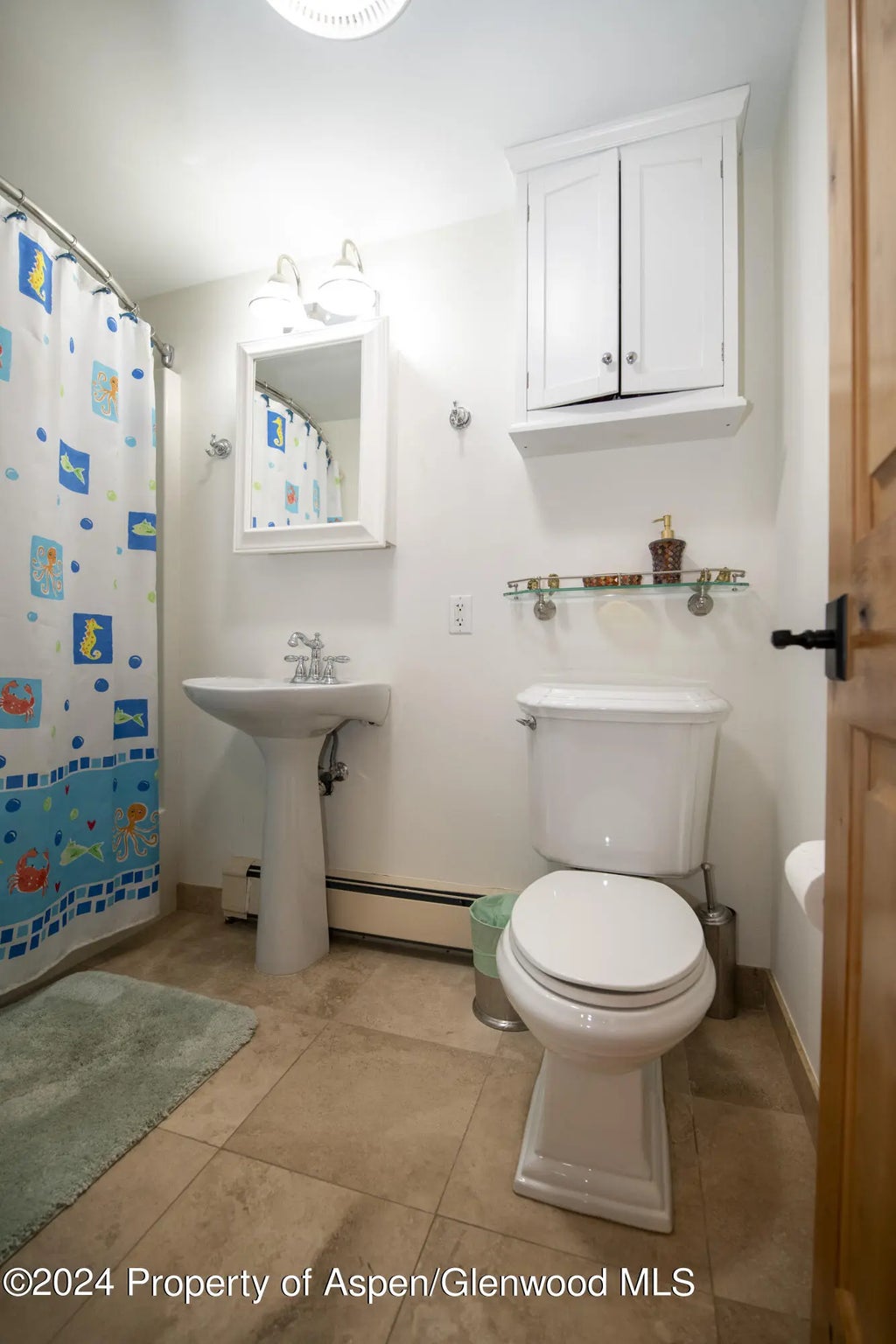 18 of 26 - 1325 Mountain View Drive, Aspen, CO