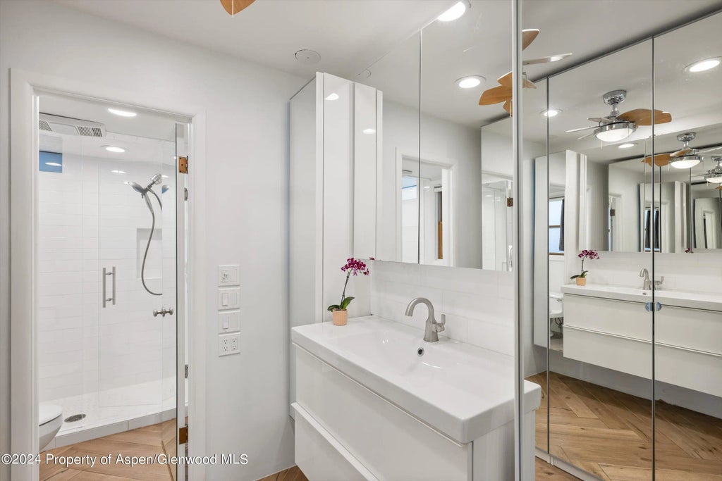 10 of 13 - 819 E Hyman Avenue 3, Aspen, CO