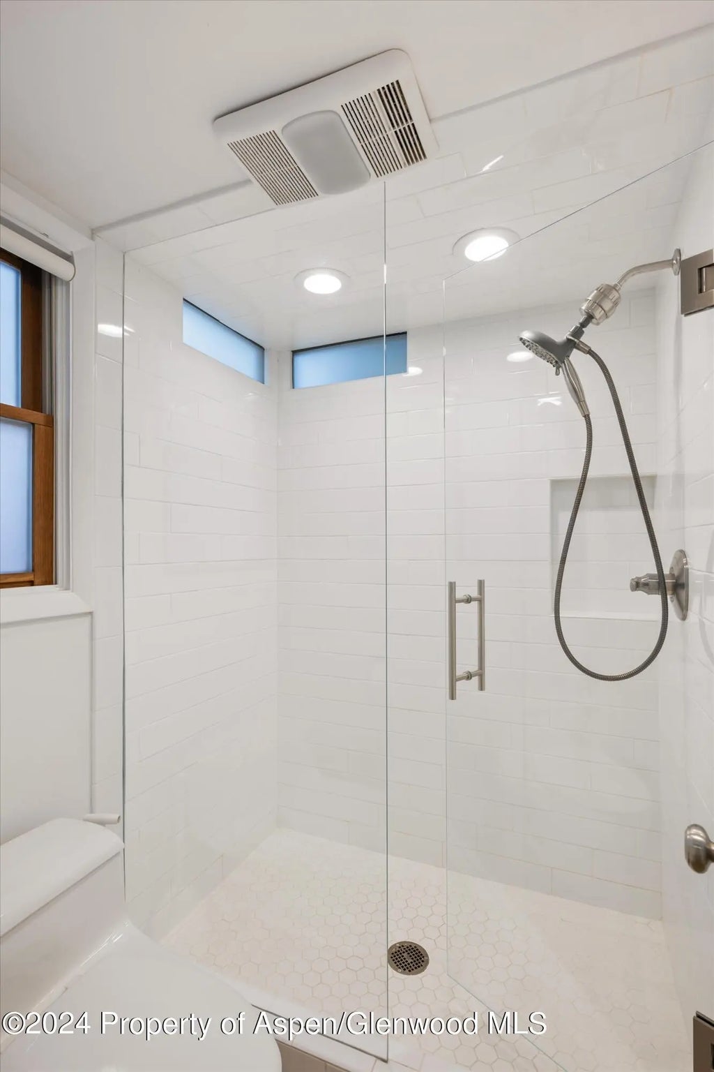 11 of 13 - 819 E Hyman Avenue 3, Aspen, CO