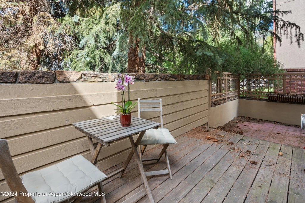 12 of 13 - 819 E Hyman Avenue 3, Aspen, CO