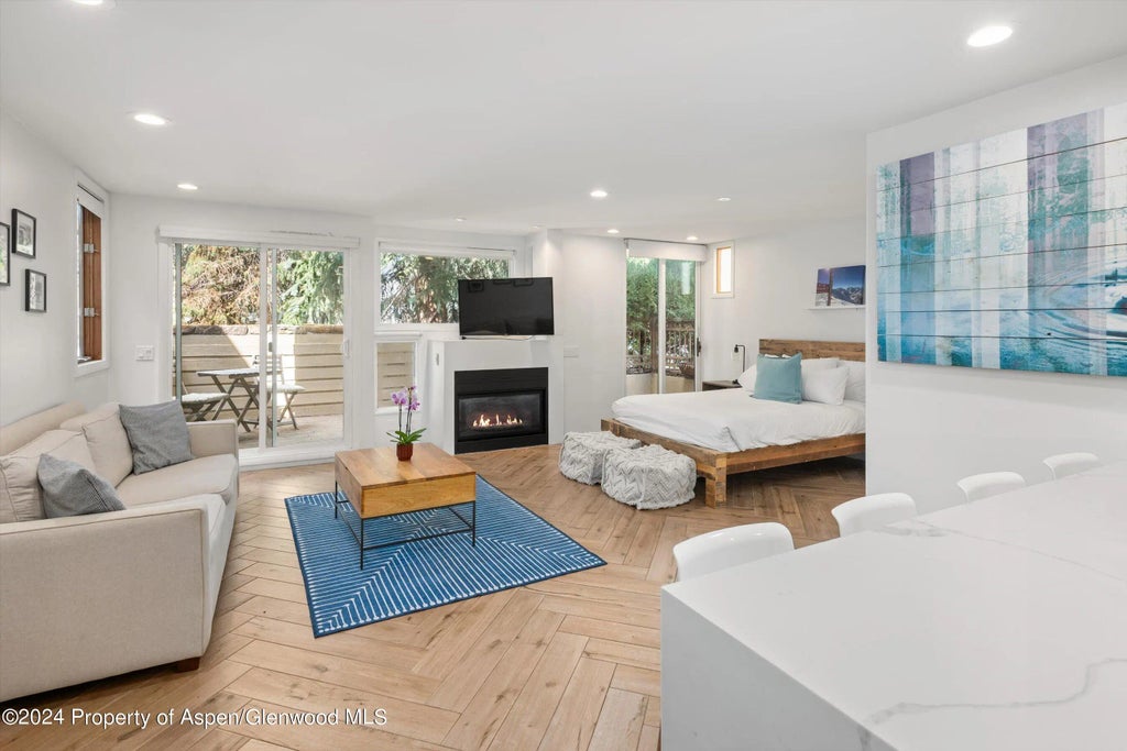 5 of 13 - 819 E Hyman Avenue 3, Aspen, CO