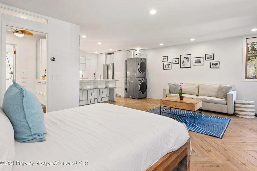7 of 13 - 819 E Hyman Avenue 3, Aspen, CO