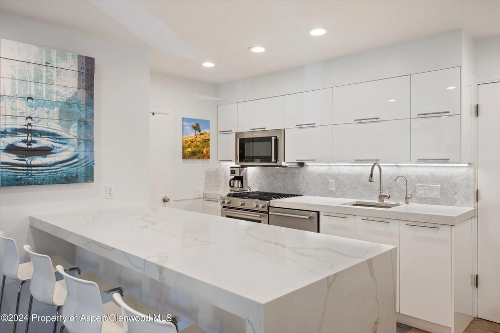 8 of 13 - 819 E Hyman Avenue 3, Aspen, CO