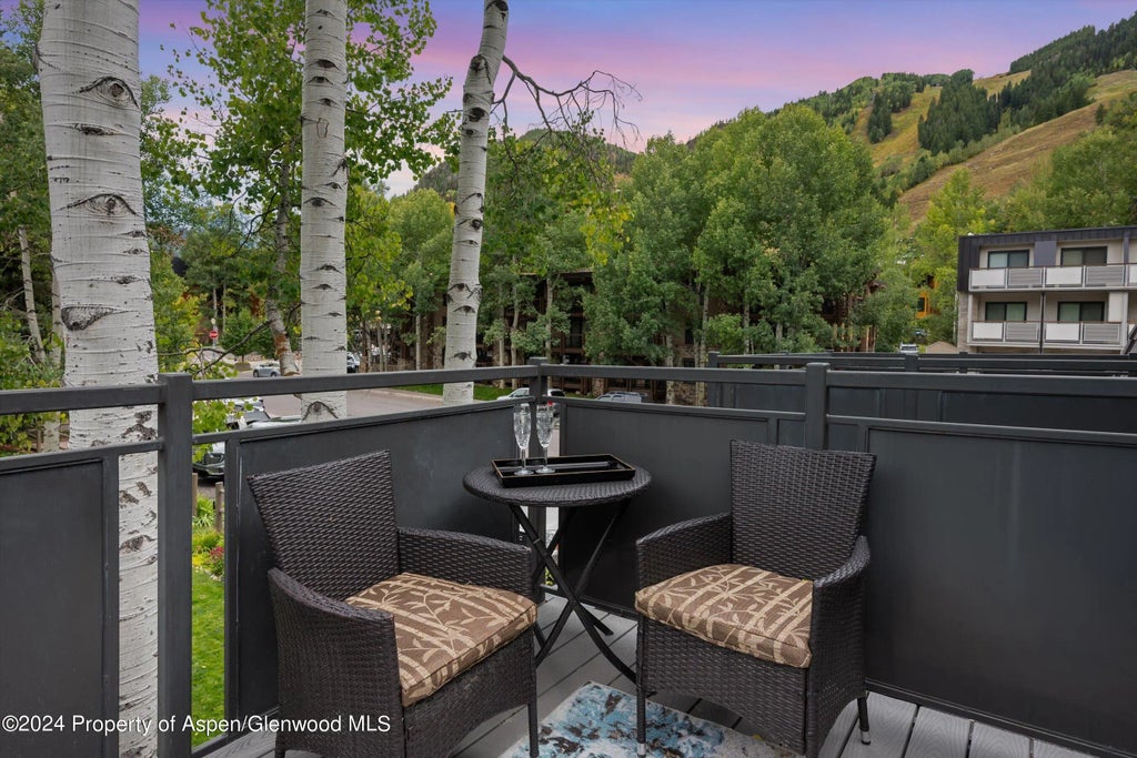 12 of 18 - 124 E Durant Avenue Unit 10, Aspen, CO