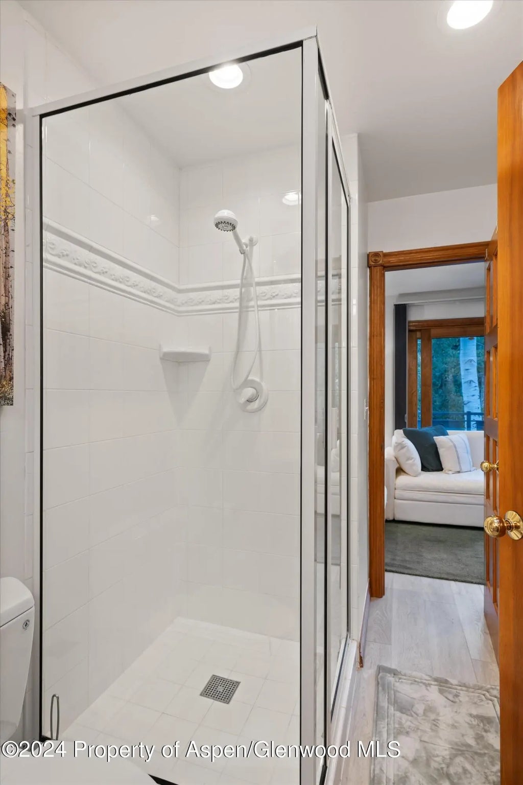 14 of 18 - 124 E Durant Avenue Unit 10, Aspen, CO