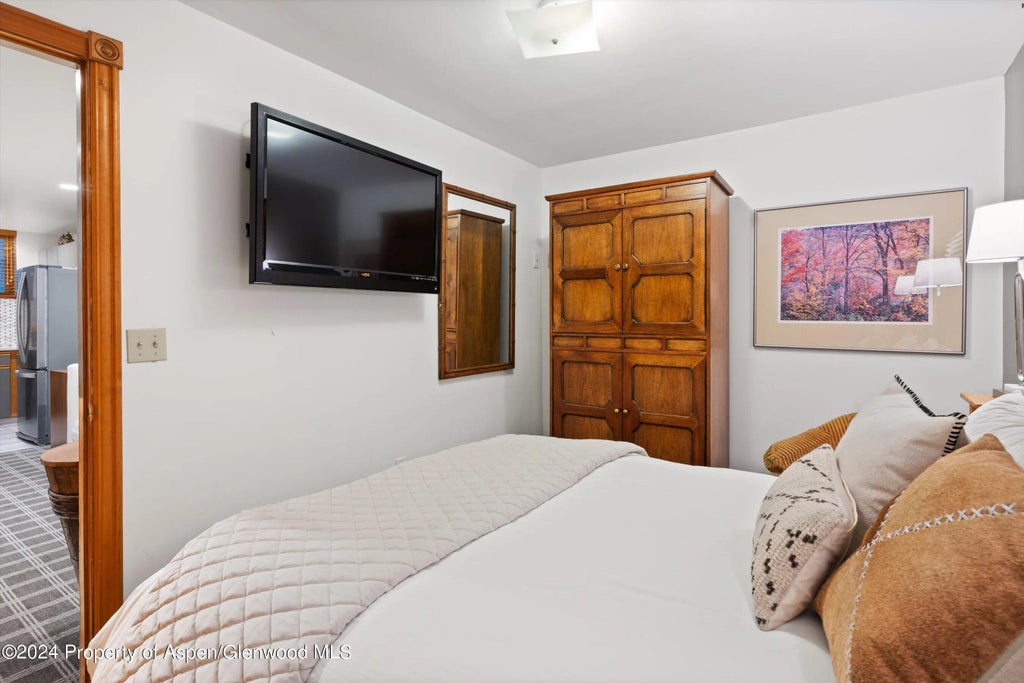 17 of 18 - 124 E Durant Avenue Unit 10, Aspen, CO