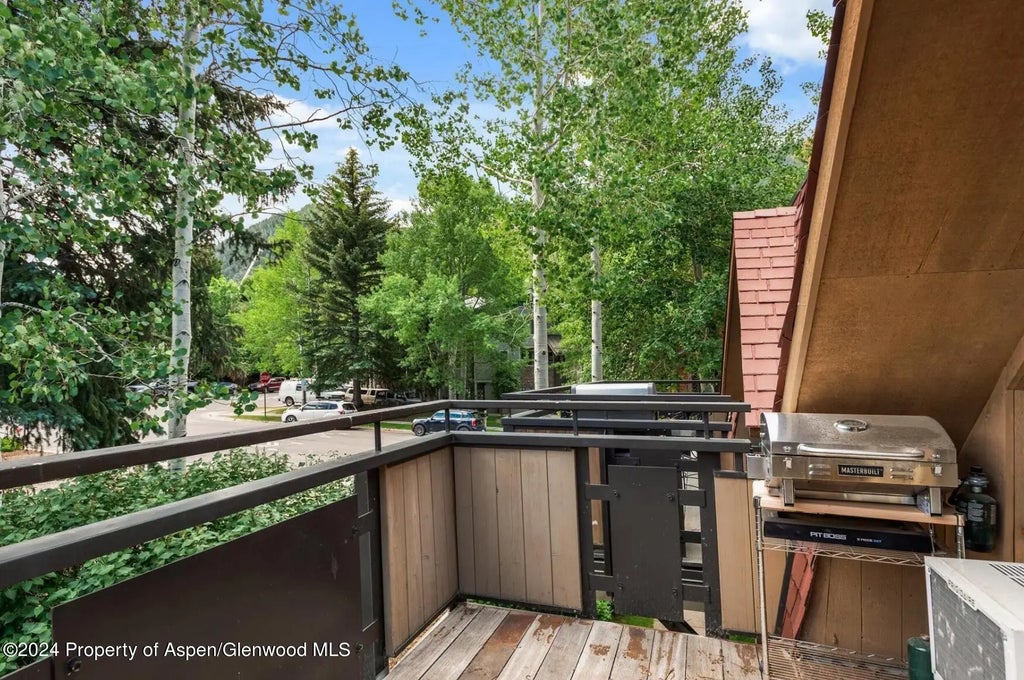 1 of 18 - 108 W Hyman Avenue 2, Aspen, CO