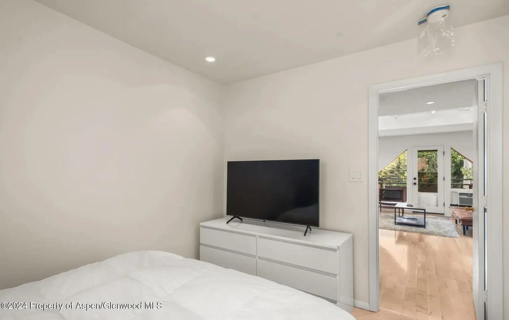 12 of 18 - 108 W Hyman Avenue 2, Aspen, CO