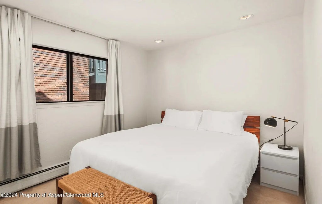 16 of 18 - 108 W Hyman Avenue 2, Aspen, CO