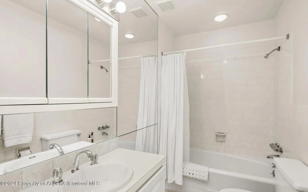 17 of 18 - 108 W Hyman Avenue 2, Aspen, CO