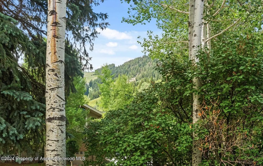 18 of 18 - 108 W Hyman Avenue 2, Aspen, CO
