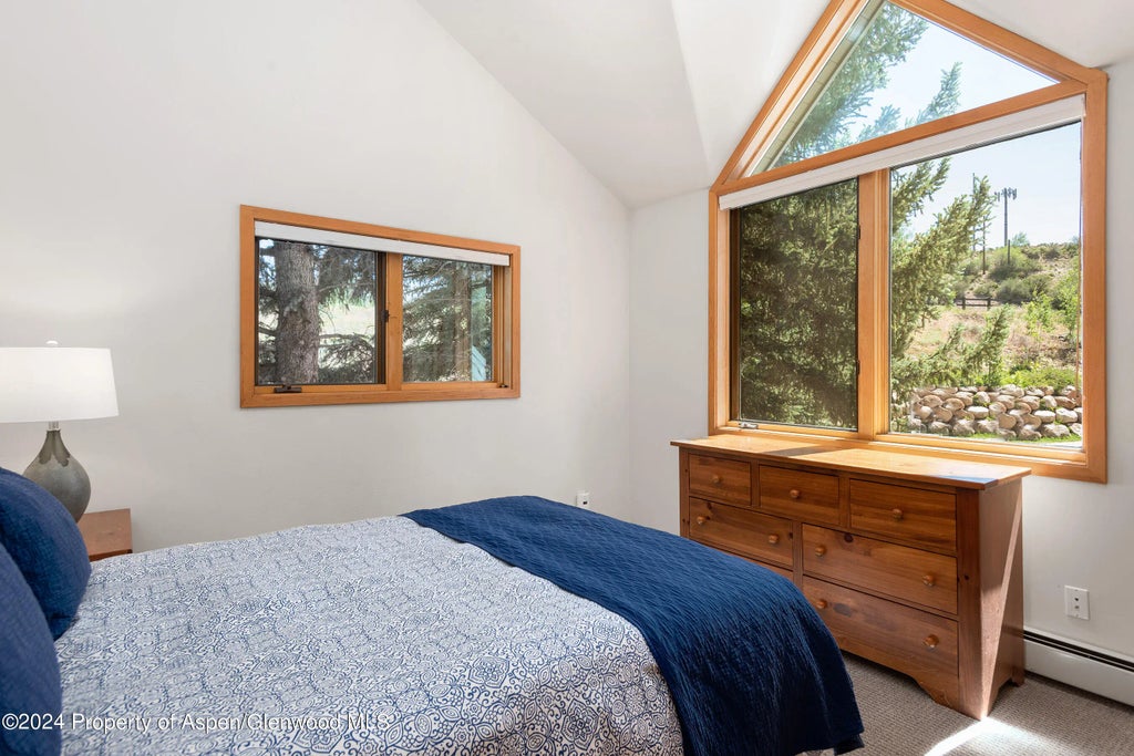 28 of 47 - 106 N Little Texas Lane, Woody Creek, CO