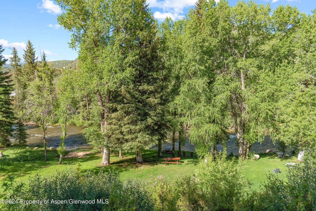 47 of 47 - 106 N Little Texas Lane, Woody Creek, CO