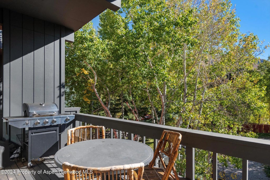 22 of 28 - 1085 Cemetery Lane A, Aspen, CO