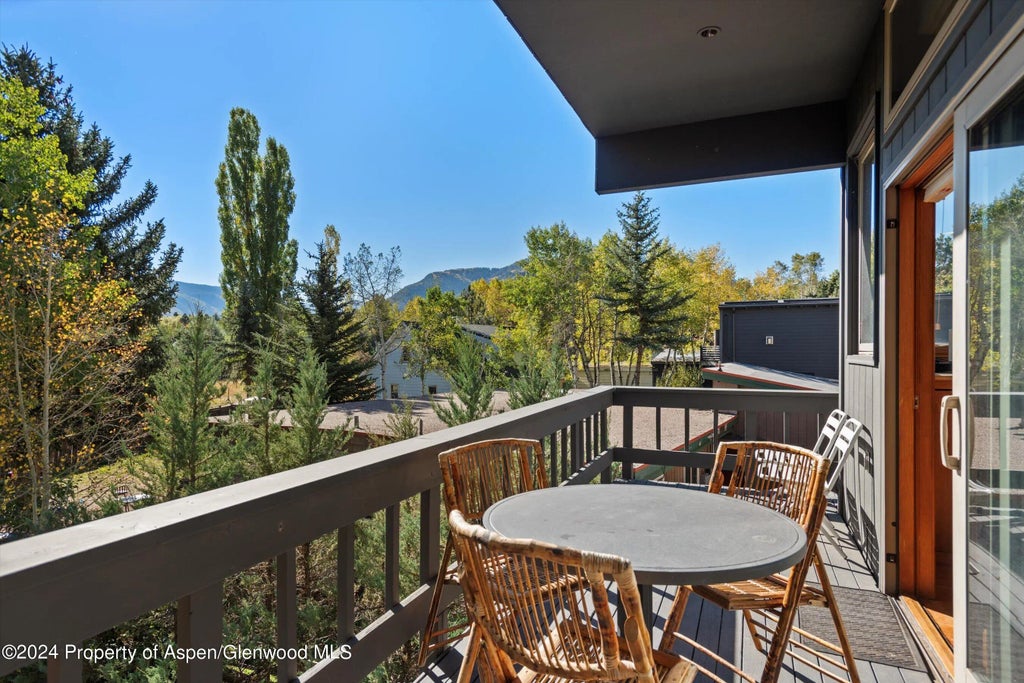 23 of 28 - 1085 Cemetery Lane A, Aspen, CO