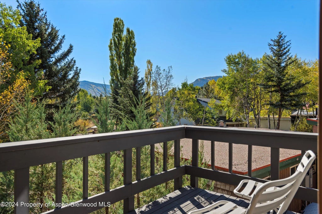 24 of 28 - 1085 Cemetery Lane A, Aspen, CO