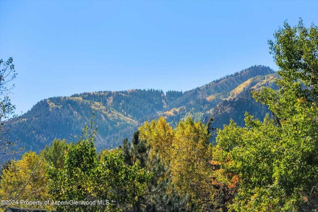 25 of 28 - 1085 Cemetery Lane A, Aspen, CO