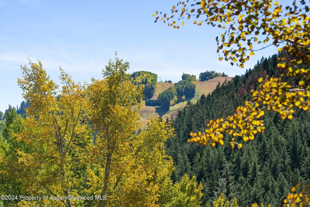 11 of 12 - 501 W Main Street A203, Aspen, CO