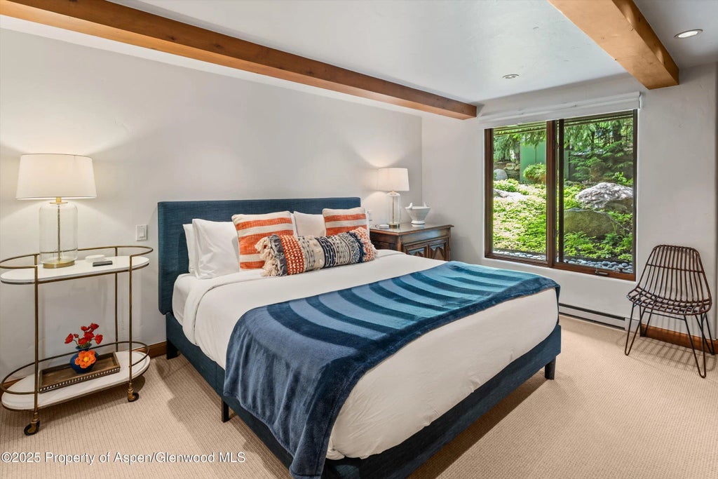 11 of 21 - 1034 E Cooper Avenue 16, Aspen, CO