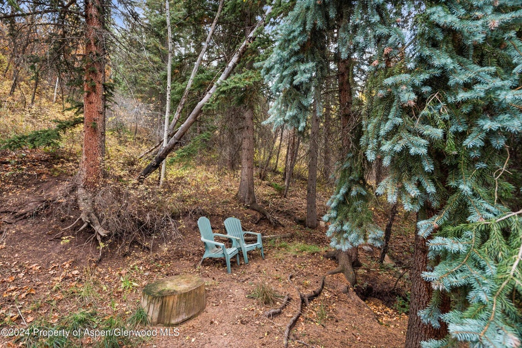 22 of 27 - 175 Bighorn Lane, Redstone, CO