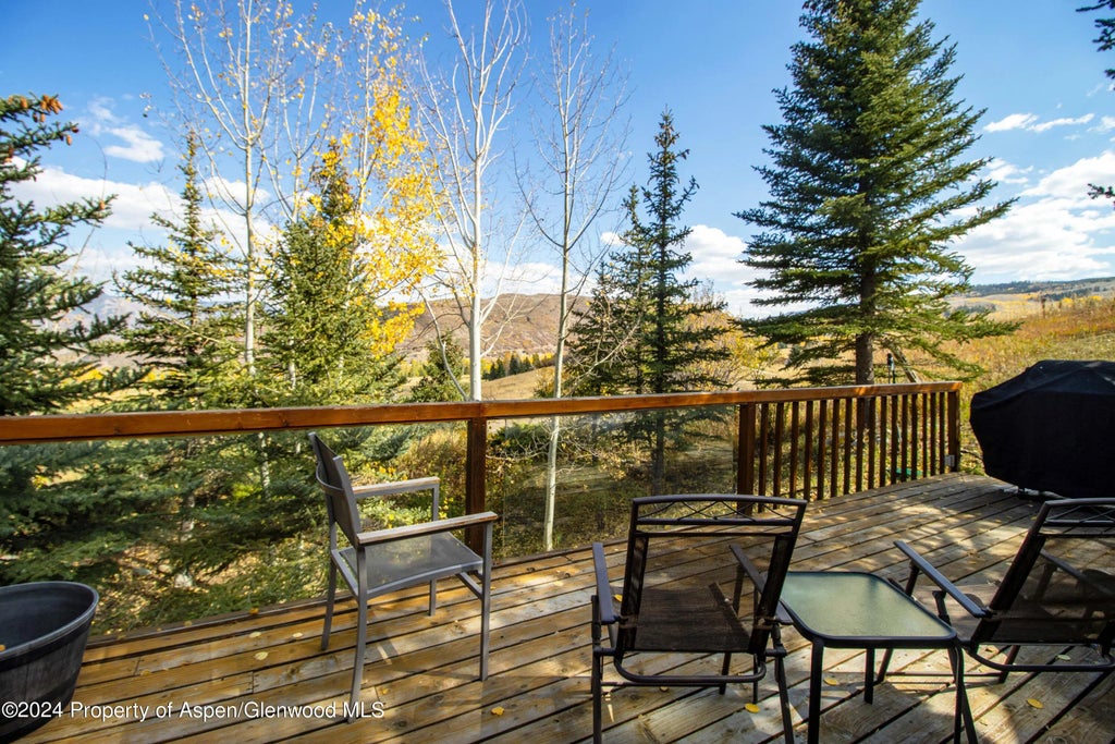 22 of 32 - 48 Emmy Lane, Snowmass Village, CO