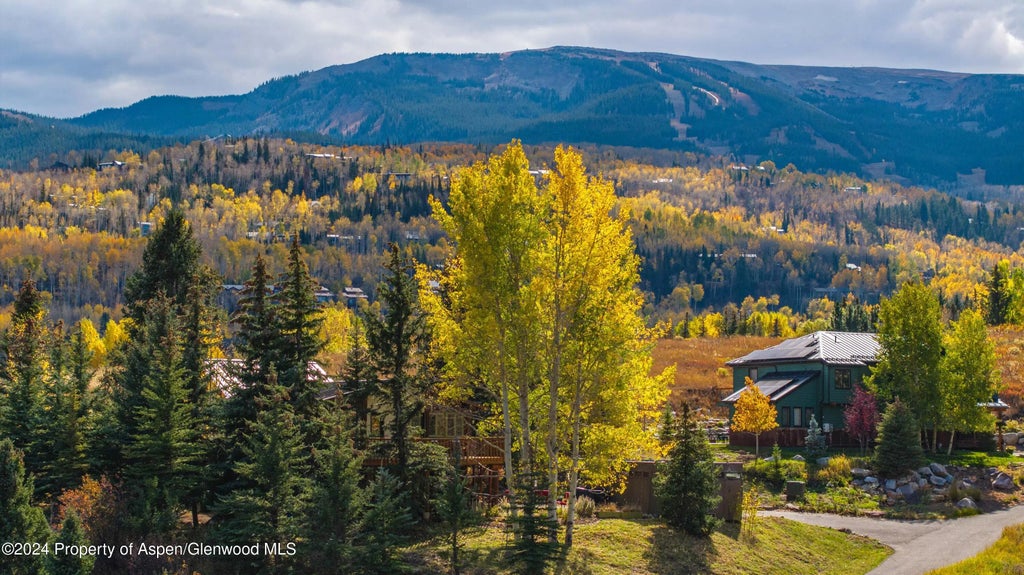 25 of 32 - 48 Emmy Lane, Snowmass Village, CO