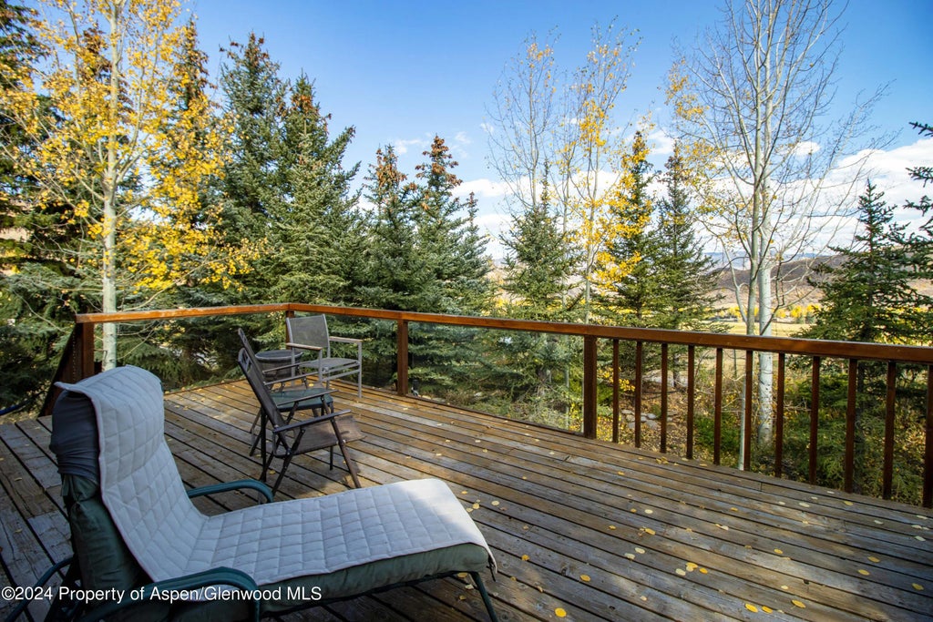 27 of 32 - 48 Emmy Lane, Snowmass Village, CO