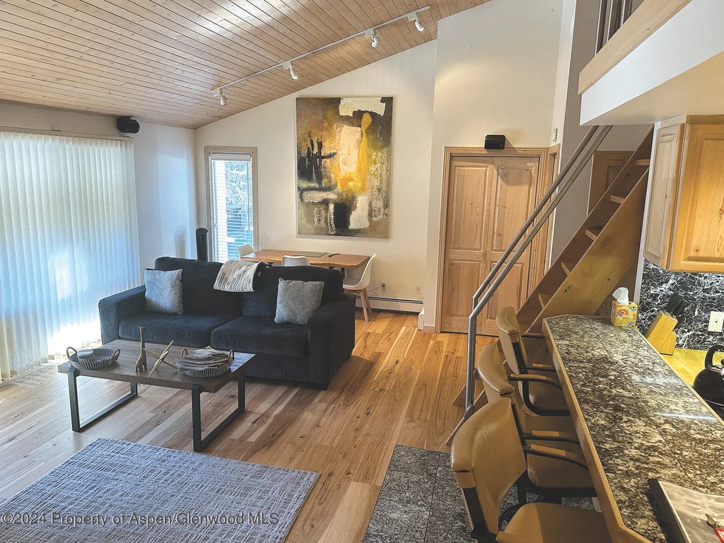 935 E Hopkins #12, Aspen
