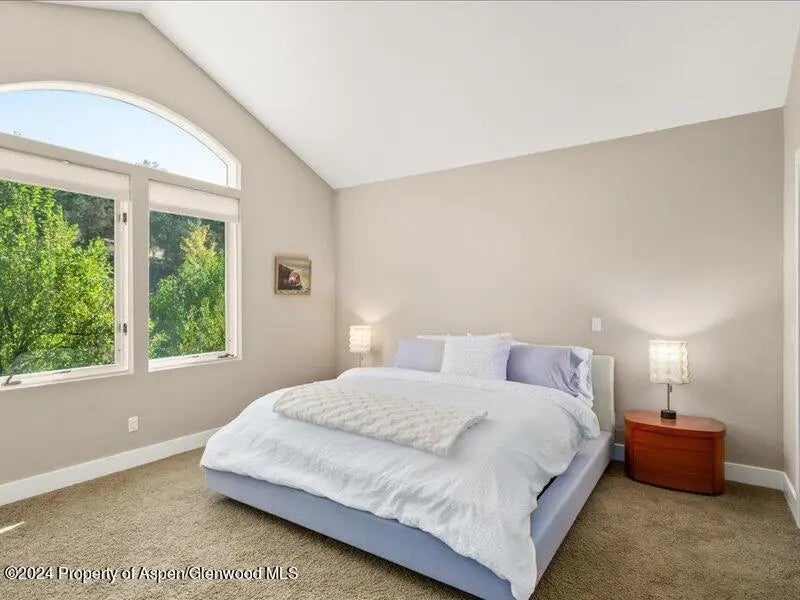 23 of 40 - 587 Hillcrest Drive, Basalt, CO