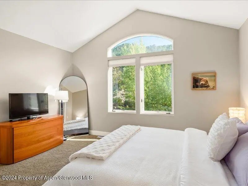 24 of 40 - 587 Hillcrest Drive, Basalt, CO