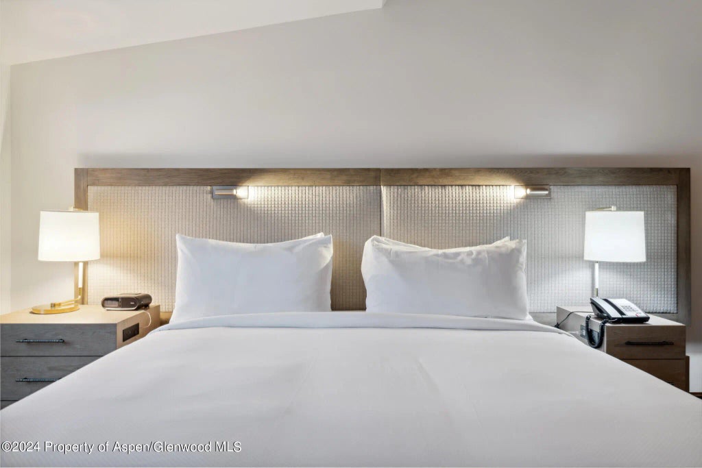 6 of 14 - 415 E Dean St, Unit 12 Week 26, Aspen, CO