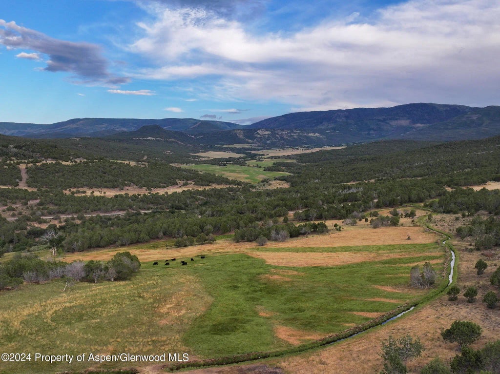 4 of 34 - 56106 Me Road, Collbran, CO