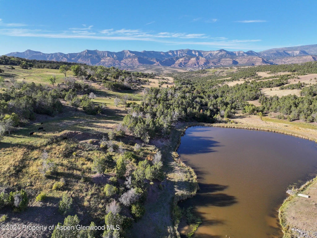 7 of 34 - 56106 Me Road, Collbran, CO