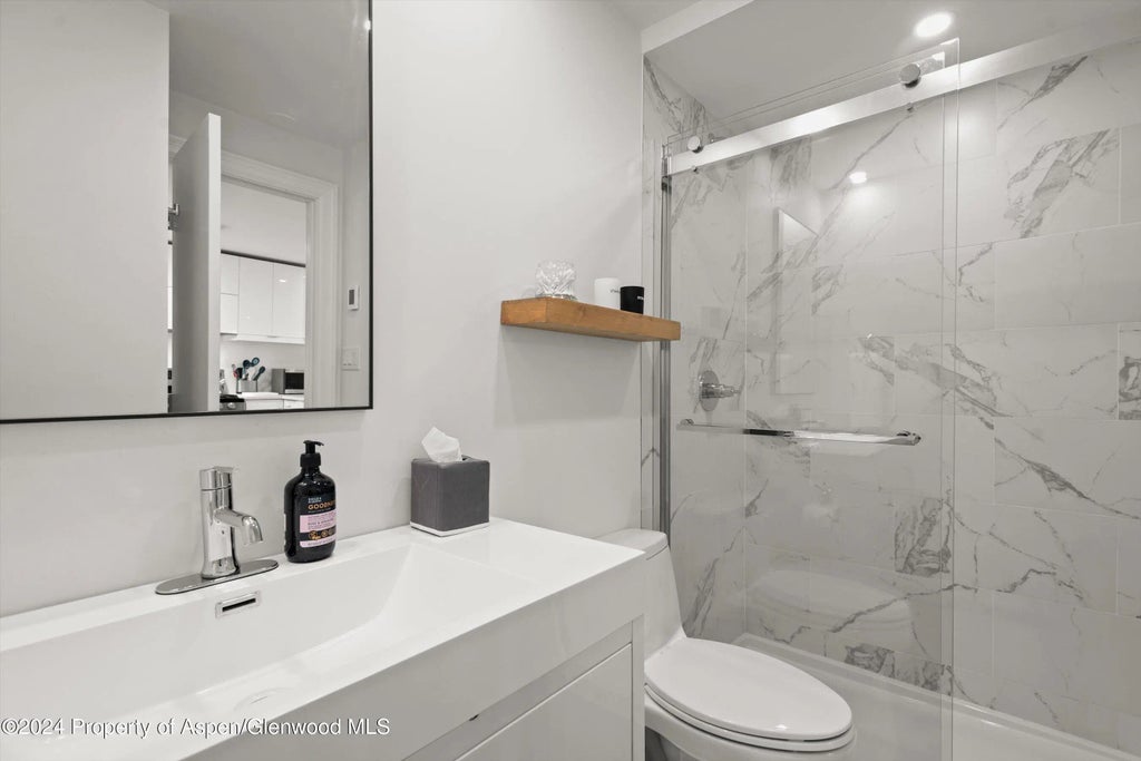 10 of 13 - 731 S Mill Street 1a, Aspen, CO