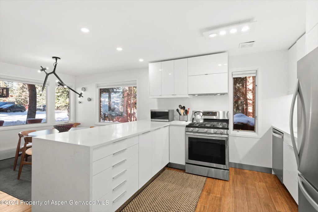 6 of 13 - 731 S Mill Street 1a, Aspen, CO