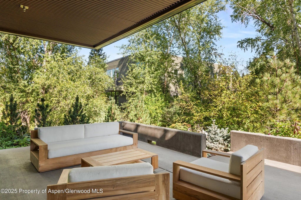 20 of 23 - 103 Willow Road 107, Basalt, CO