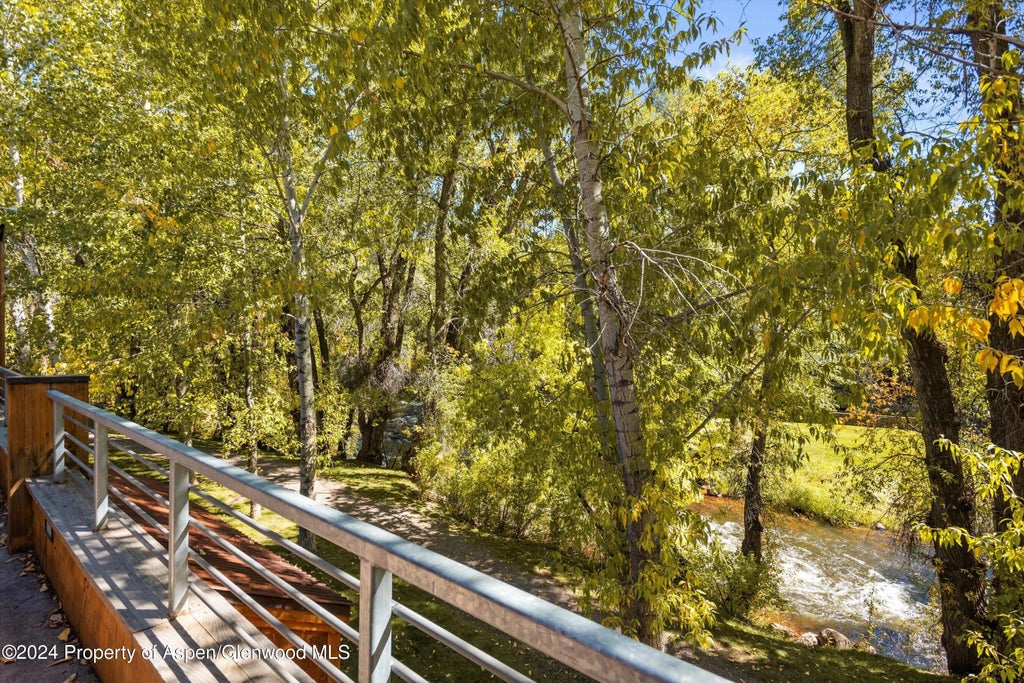 11 of 16 - 229 Midland Avenue D2, Basalt, CO