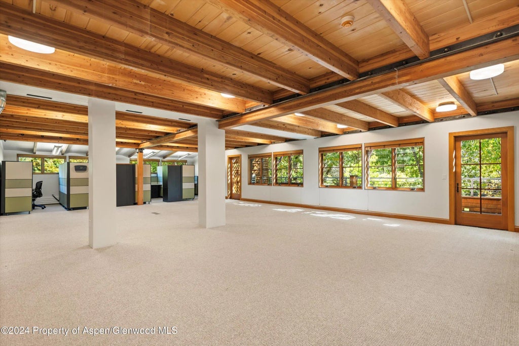 4 of 16 - 229 Midland Avenue D2, Basalt, CO